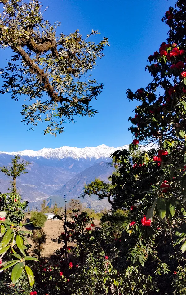 Chopta Chandrashila 3 Day Trek